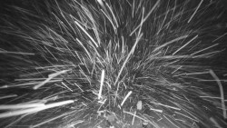 Troják, Maruška - meteo stanice