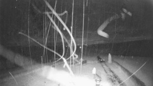 Skiareál Troják - Troják, Maruška - meteo stanice - 12.6.2026 v 00:10 Skiareál Troják - Troják, Maruška - meteo stanice - 12.6.2026 v 00:10
