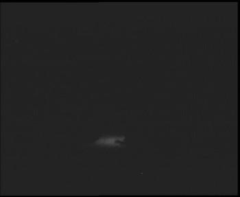 Snímek    13.5.2025 v 21:30