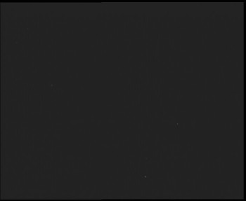 Snímek    14.7.2025 v 03:15