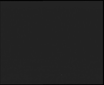 Snímek    13.9.2025 v 03:45