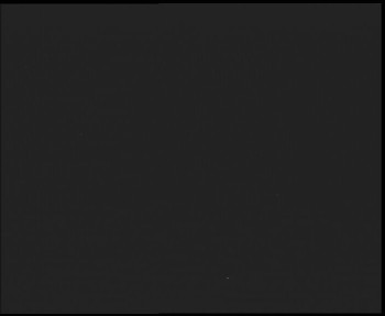 Snímek    13.9.2025 v 04:30