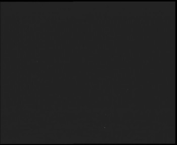 Snímek    13.9.2025 v 19:45