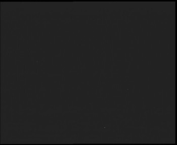 Snímek    13.9.2025 v 23:00
