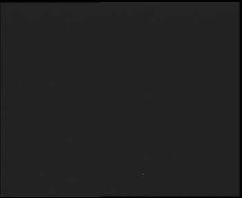 Snímek    15.9.2025 v 21:30