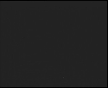 Snímek    19.9.2025 v 01:15