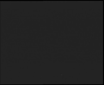 Snímek    16.10.2025 v 05:00