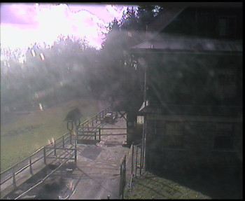 Snímek    29.10.2025 v 11:15