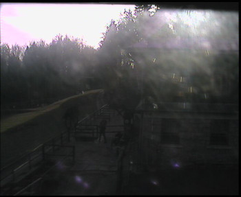 Snímek    31.10.2025 v 14:15