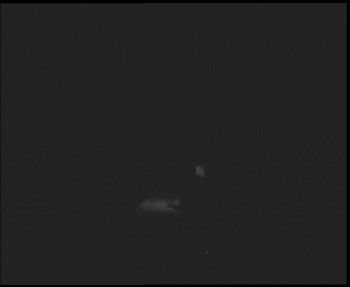 Snímek    31.10.2025 v 19:15