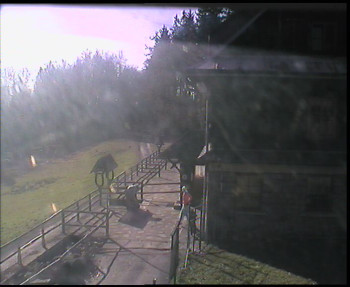 Snímek    1.11.2025 v 11:00