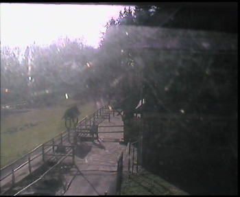 Snímek    1.11.2025 v 11:45