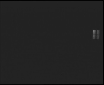 Snímek    1.11.2025 v 20:00