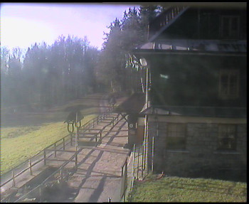 Snímek 6.11.2025 v 09:00