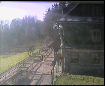 Snímek 6.11.2025 v 09:15