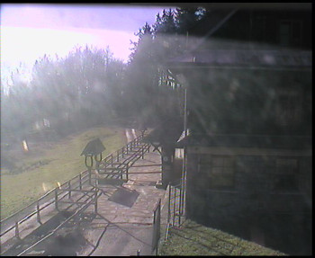 Snímek 6.11.2025 v 11:00