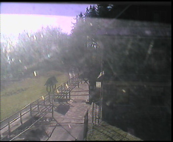 Snímek 6.11.2025 v 11:30