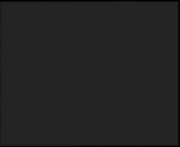 Snímek 7.11.2025 v 23:45