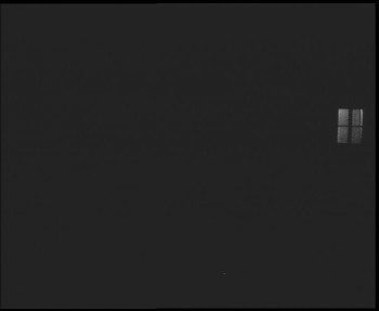 Snímek 8.11.2025 v 20:45