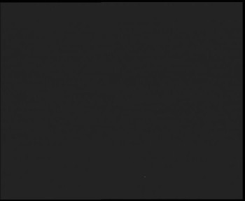 Snímek 8.11.2025 v 23:15