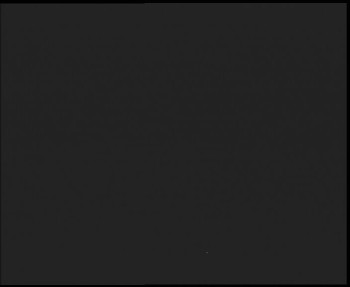 Snímek    11.11.2025 v 19:15