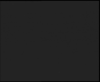 Snímek 12.11.2025 v 23:00