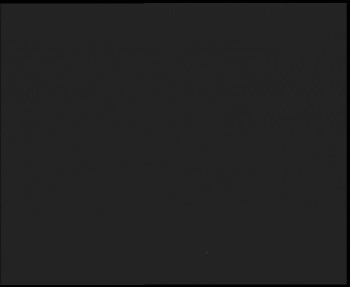 Snímek 13.11.2025 v 03:45