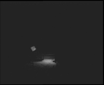 Snímek    21.11.2025 v 19:45