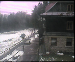 Terasa horského hotelu