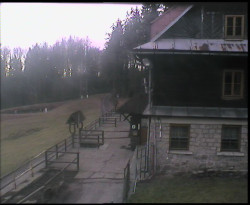 Terasa horského hotelu