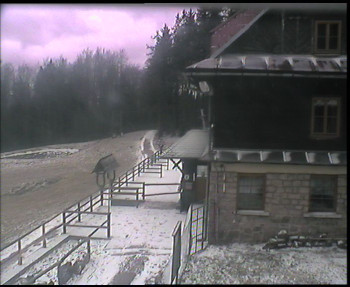 SkiAreál - Horský hotel...