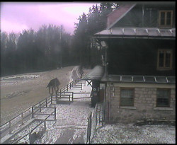 Terasa horského hotelu