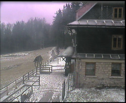 Terasa horského hotelu