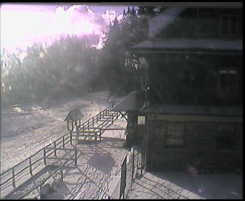 SkiAreál - Horský hotel...