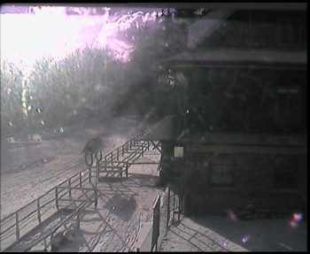 SkiAreál - Horský hotel...