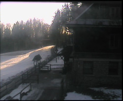 Terasa horského hotelu