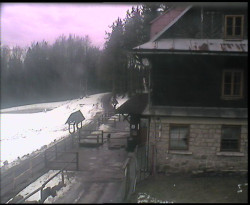 Terasa horského hotelu