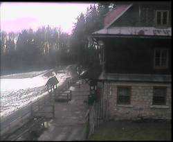 Terasa horského hotelu