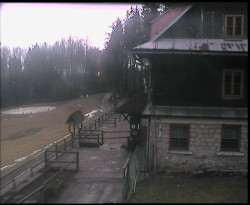 Terasa horského hotelu