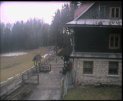 Terasa horského hotelu