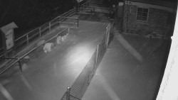 Terasa horského hotelu