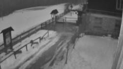 Terasa horského hotelu