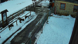 Terasa horského hotelu