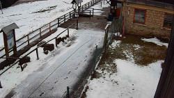 Terasa horského hotelu