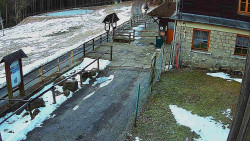 Terasa horského hotelu