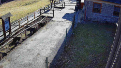 Terasa horského hotelu