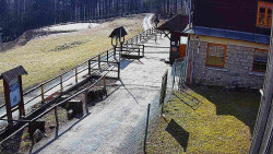 Terasa horského hotelu