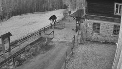 Terasa horského hotelu