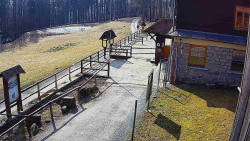 Terasa horského hotelu