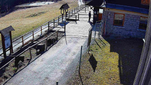 SkiAreál - Horský hotel Vsacký Cáb - Terasa horského hotelu - 9.3.2026 v 12:45